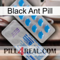 Black Ant Pill new15